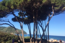 Populonia BARATTI