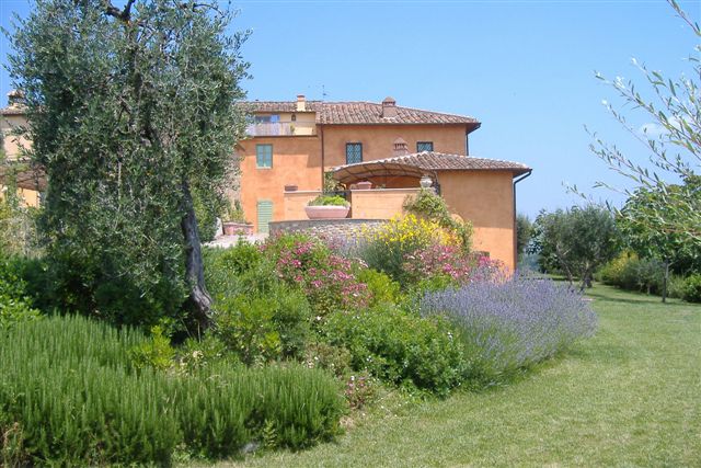 Archipettoli