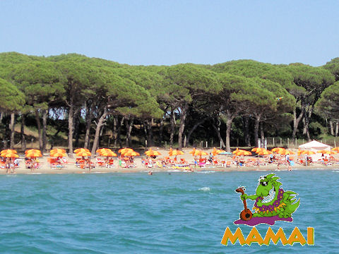 campeggio scarlino