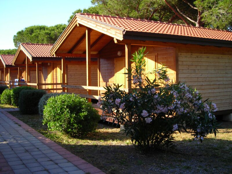 Oasi