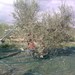 Farm Holidays Podere San Carlo