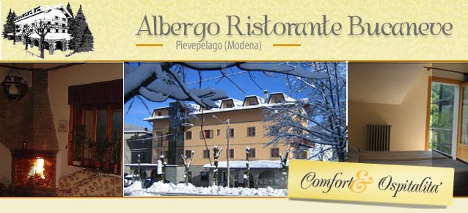 H�tel Hotel Bucaneve