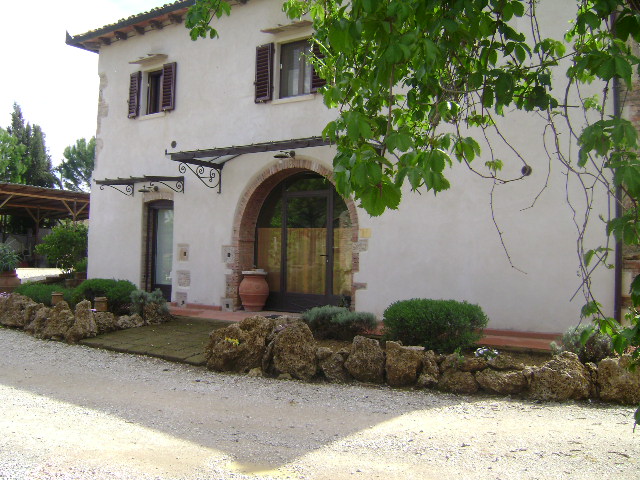 Polveraia
