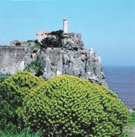 Farm Holidays Piramedia