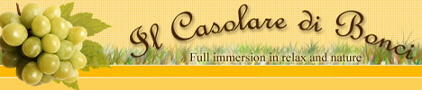 Bed and Breakfast Il Casolare di Bonci