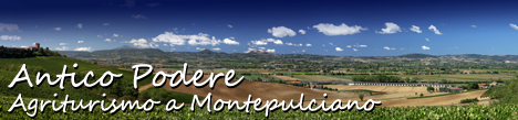 Agriturismo Antico Podere