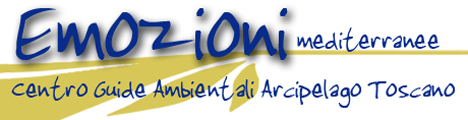 Mountain Bike Emozioni Mediterranee