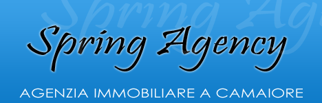 Immobilienb�ro Spring Agency