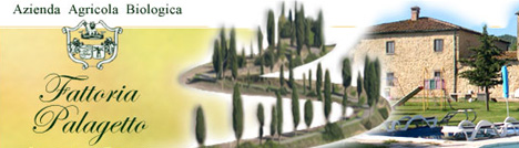 Agriturismo Fattoria il Palagetto