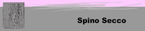 Appartamenti Spino Secco