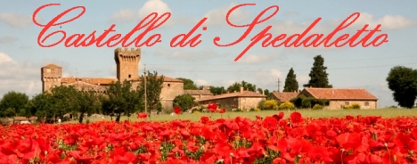 Agriturismo Castello di Spedaletto