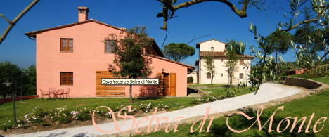 Apartment Selva di Monte