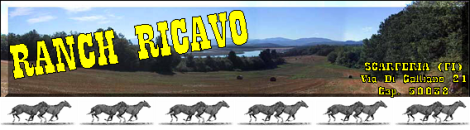 Vacances de ferme Ranch Ricavo