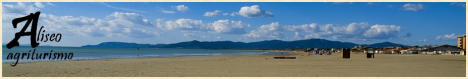 Farm Holidays Aliseo