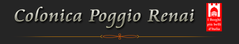 Agriturismo Colonica Poggio Renai