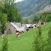Agriturismo Il Borgo dei Celti