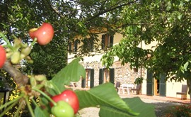 OFFERTE SPECIALI AMICI A 4 ZAMPE IN AGRITURISMO VACANZE ANIMALI GRATIS IN TOSCANA!!
