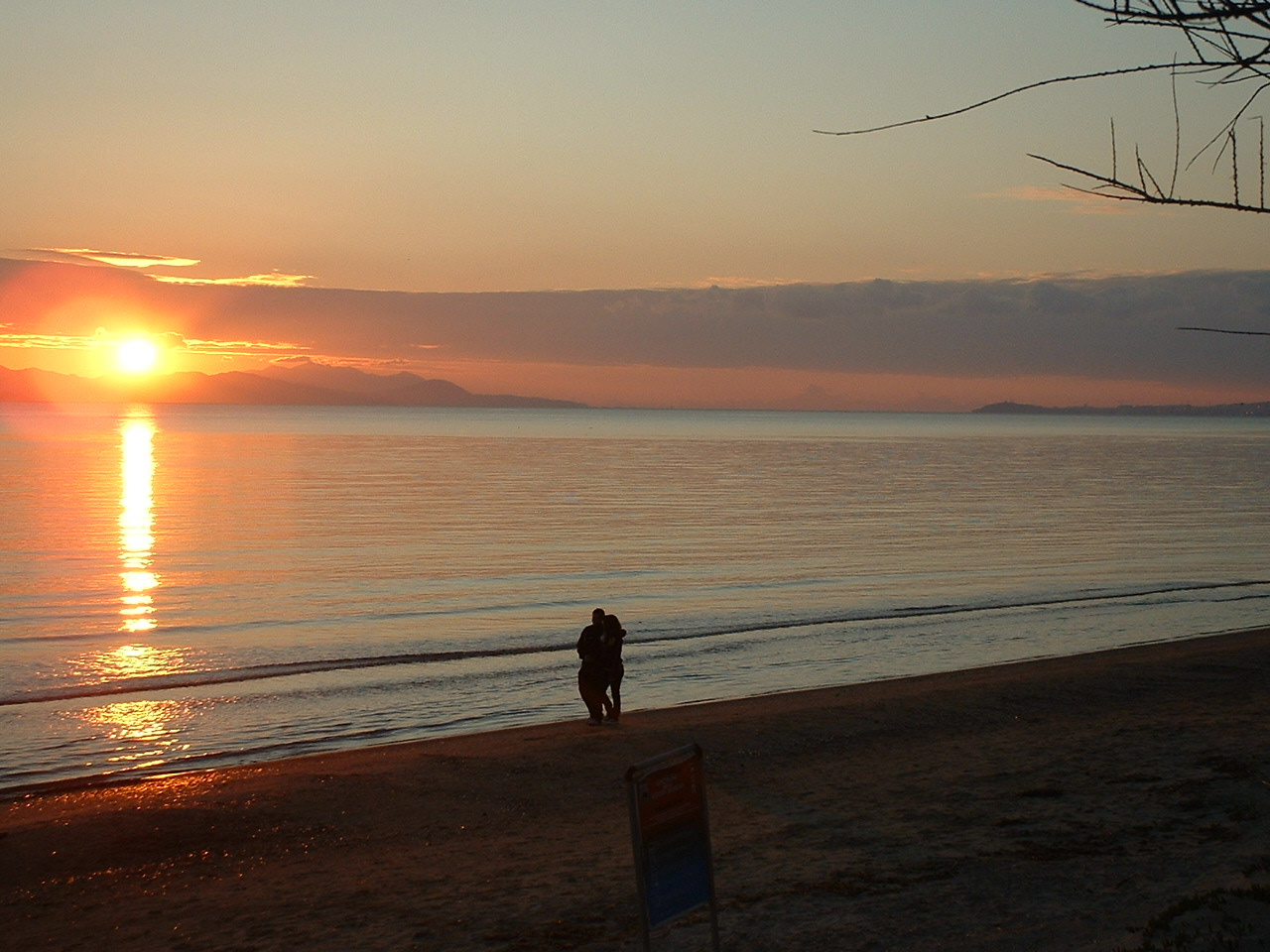 agenzia immobiliare follonica