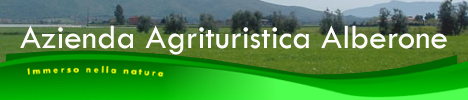 Agriturismo Alberone