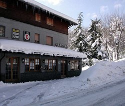 Alpino