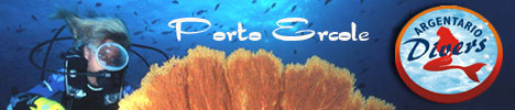 Diving Argentario Divers