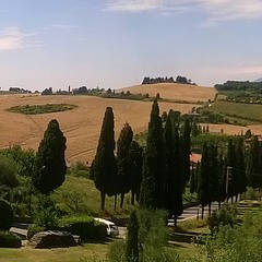 Dintorni
