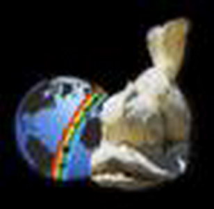 Music World 2005