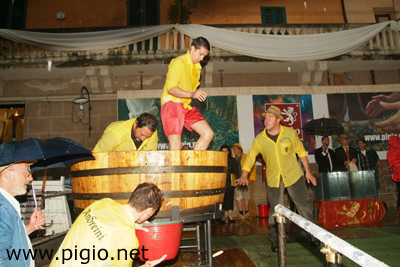 Il Pigio