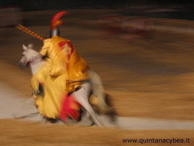 Quintana Cybea