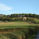 la storia di bibbona