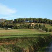 La Storia di Bibbona