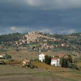 bibbona