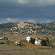 Bibbona