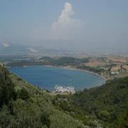 Baratti
