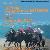 X� Palio della Costa Etrusca (de)