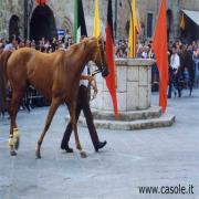 Palio di Casole d'Elsa 2006
