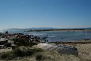 Follonica