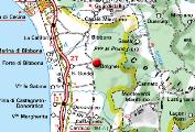 Bolgheri