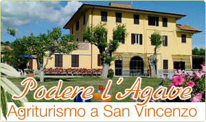Agriturismo Podere l Agave