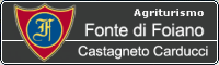 Fonte di Foiano