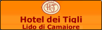 Banner Hotel dei Tigli