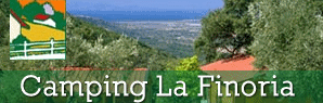La Finoria