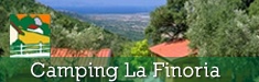 Finoria