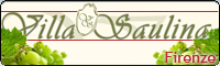 Villa Saulina