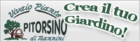 Vivaio Pitorsino