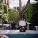 Bed and Breakfast Libano