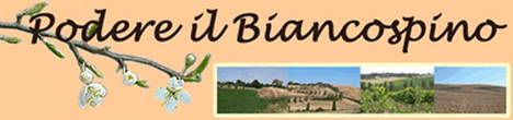 Villa Podere il Biancospino