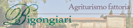 Agriturismo Bigongiari