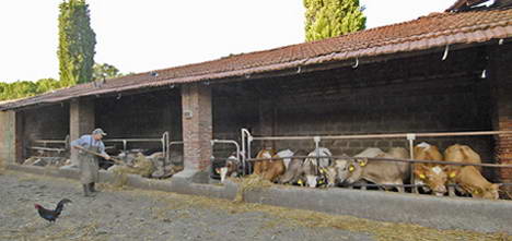 Agriturismo Bigongiari