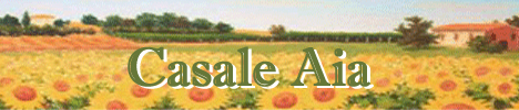 Farm Holidays Casale Aia